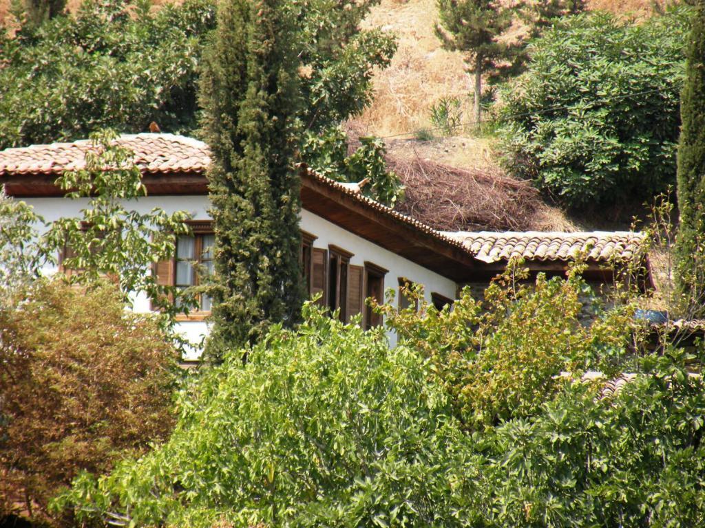 Terrace Houses Sirince Сельчук Номер фото